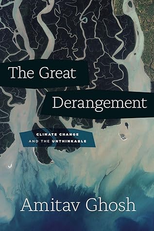 Cover of The great derangement