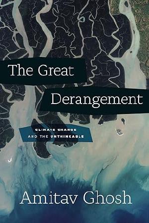 Cover of The great derangement